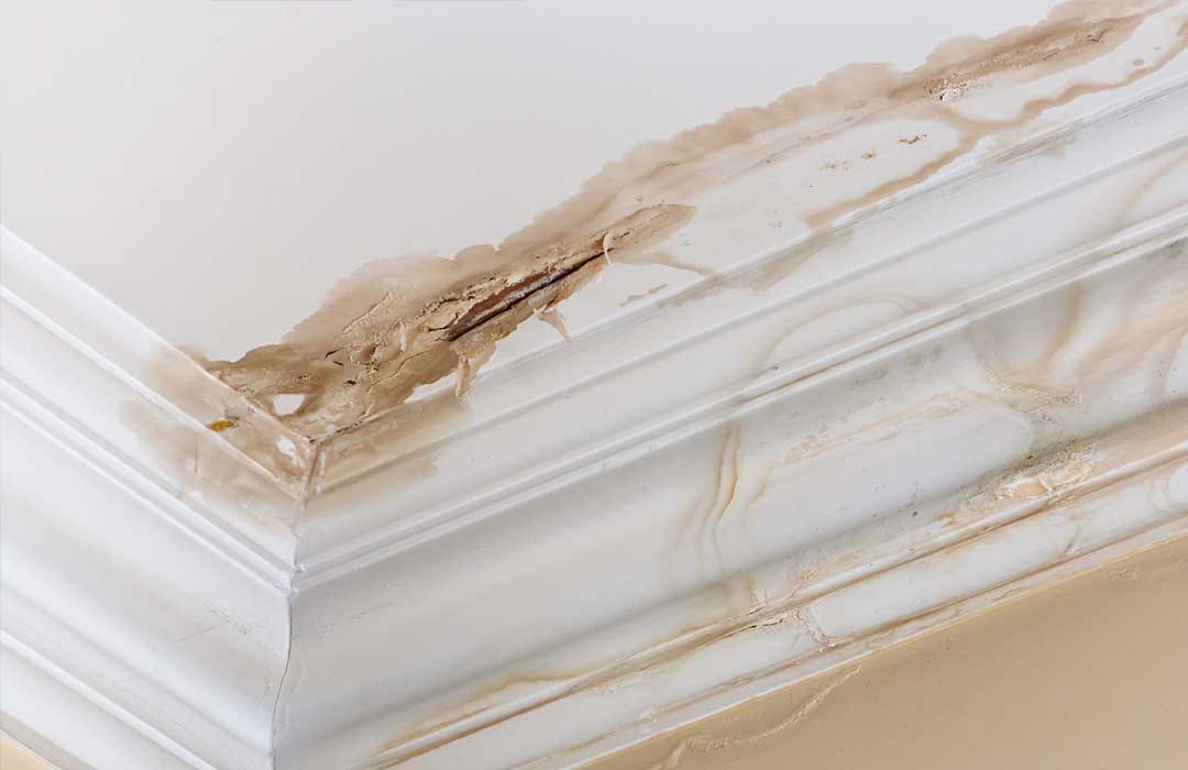 Professional Cleaning Services - Specialist Cleaning - a damp wall in need of cleaning.