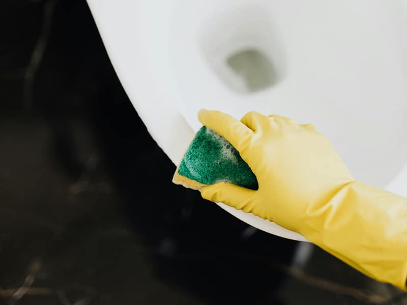 Wearing gloves and cleaning toilet with sponge
